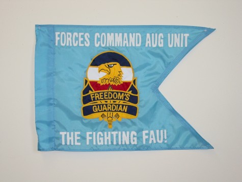 Forces Command Aug Unit