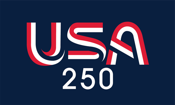 USA 250 Blue 3x5ft Nylon Flag