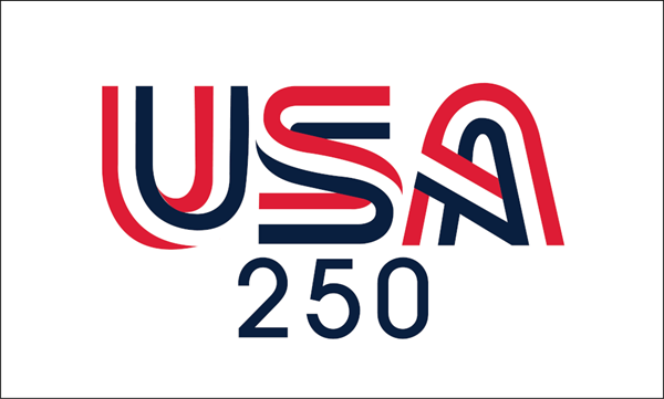 USA 250 White 3x5ft Nylon Flag