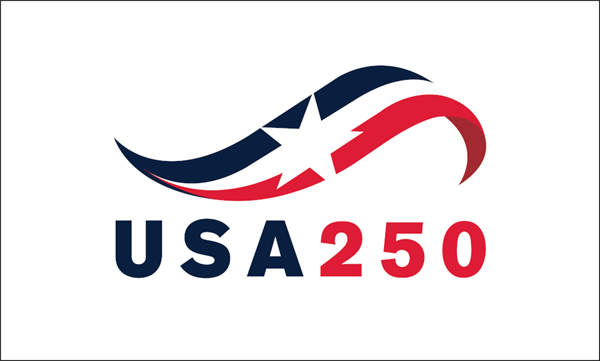 USA 250 Star 3x5ft Nylon Flag