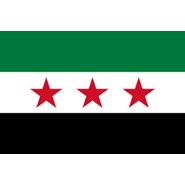 Syria (UN) Nylon Falgs